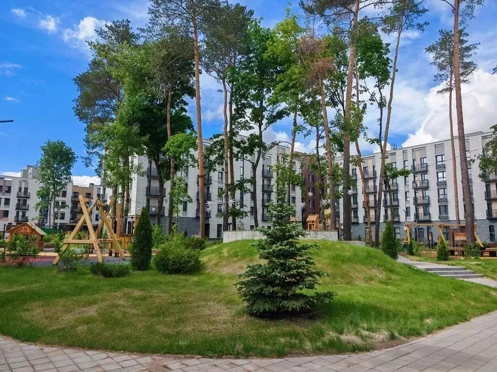 Студия Московская область, Раменский муниципальный округ, Ильинский ... - Фото 2