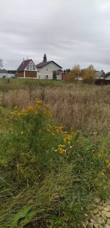 Участок в Ленинградская область, Гатчинский район, д. Кезелево  (11.0 ... - Фото 0