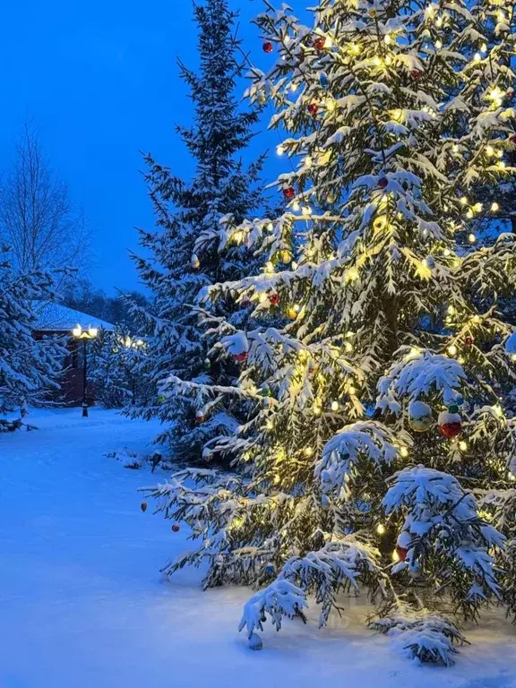 Дом в Тверская область, Калининский муниципальный округ, д. Бойково на ... - Фото 2