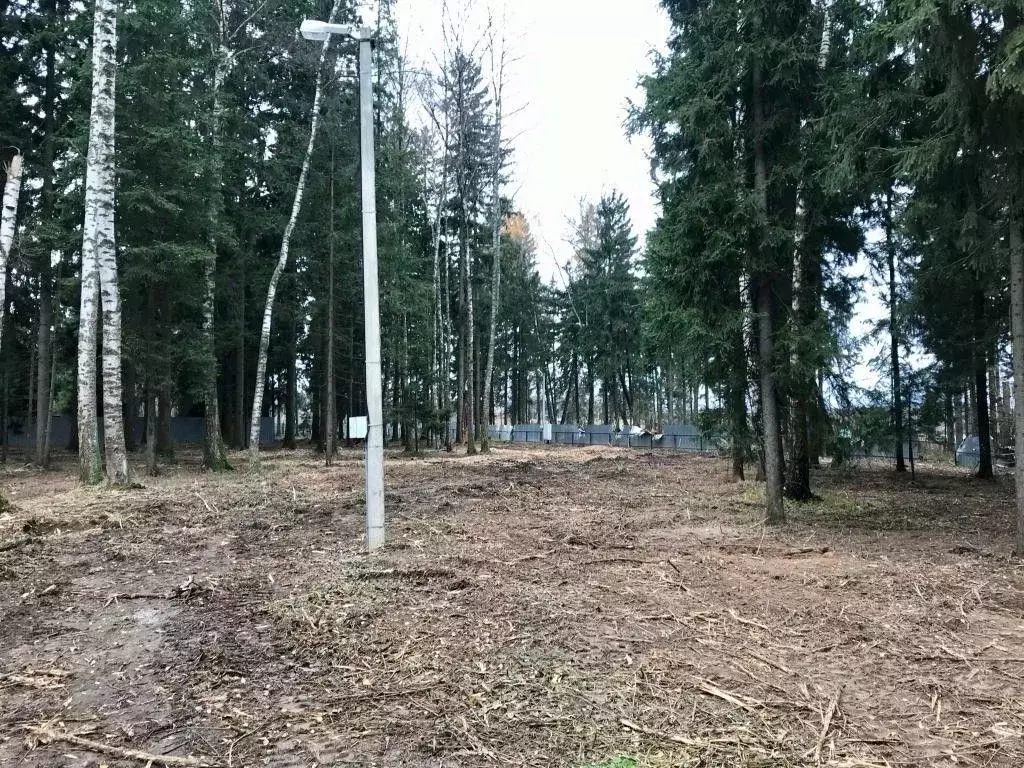 Участок в Московская область, Истра городской округ, д. Павловское  ... - Фото 0