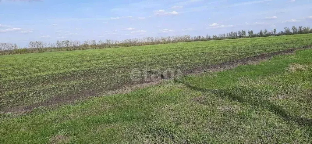 Купить Участок В Новоусманском Районе Воронежской Области