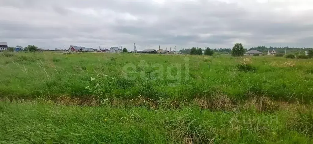 Участок в Вологодская область, Шекснинский муниципальный округ, д. ... - Фото 1