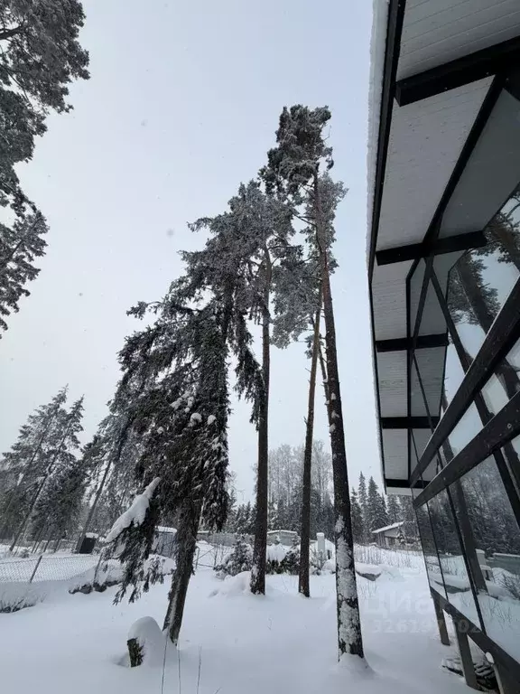 Дом в Московская область, Солнечногорск городской округ, д. ... - Фото 1