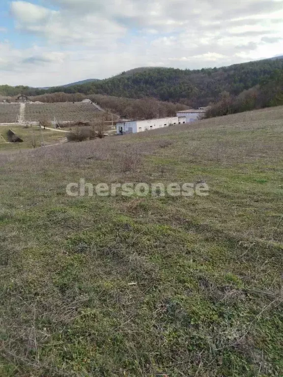 Участок в Севастополь с. Терновка, ул. Зеленая (4.45 сот.) - Фото 2