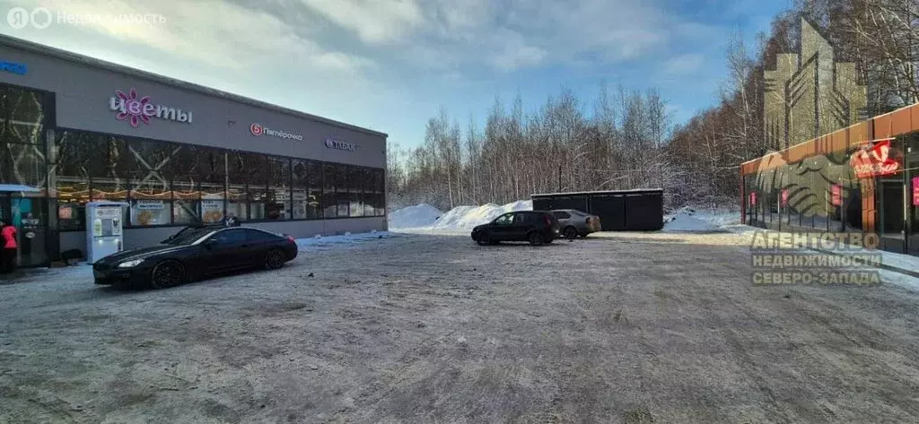 Помещение свободного назначения (53 м) - Фото 1