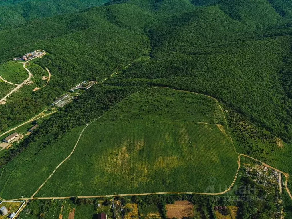 Участок в Краснодарский край, Анапа муниципальный округ, с. Сукко, ... - Фото 1
