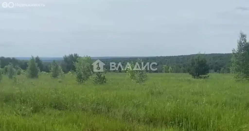 Участок в Нижегородская область, Богородский муниципальный округ, ... - Фото 1