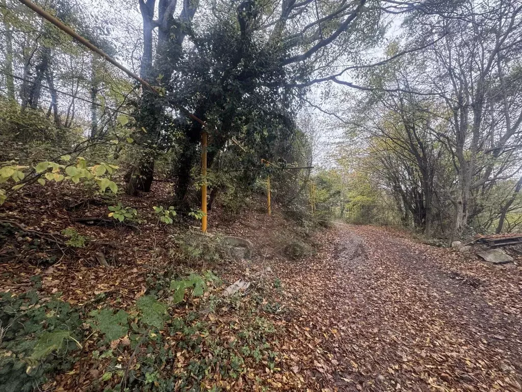 Участок в Краснодарский край, Туапсе Вольная ул., 2Е (9.0 сот.) - Фото 1