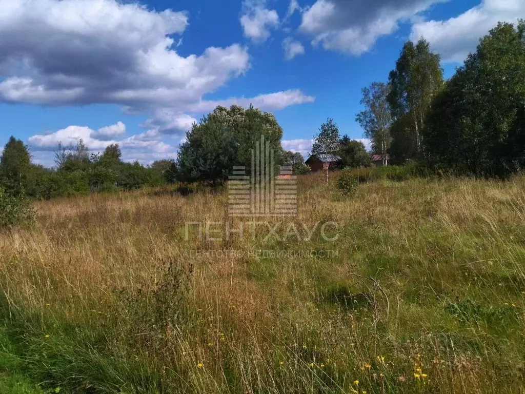 Участок в Владимирская область, Судогодский район, д. Овсянниково 29 ... - Фото 1