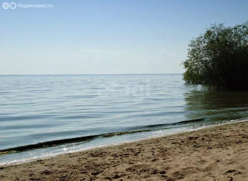 Участок в Вологодская область, Череповецкий муниципальный округ, ... - Фото 2