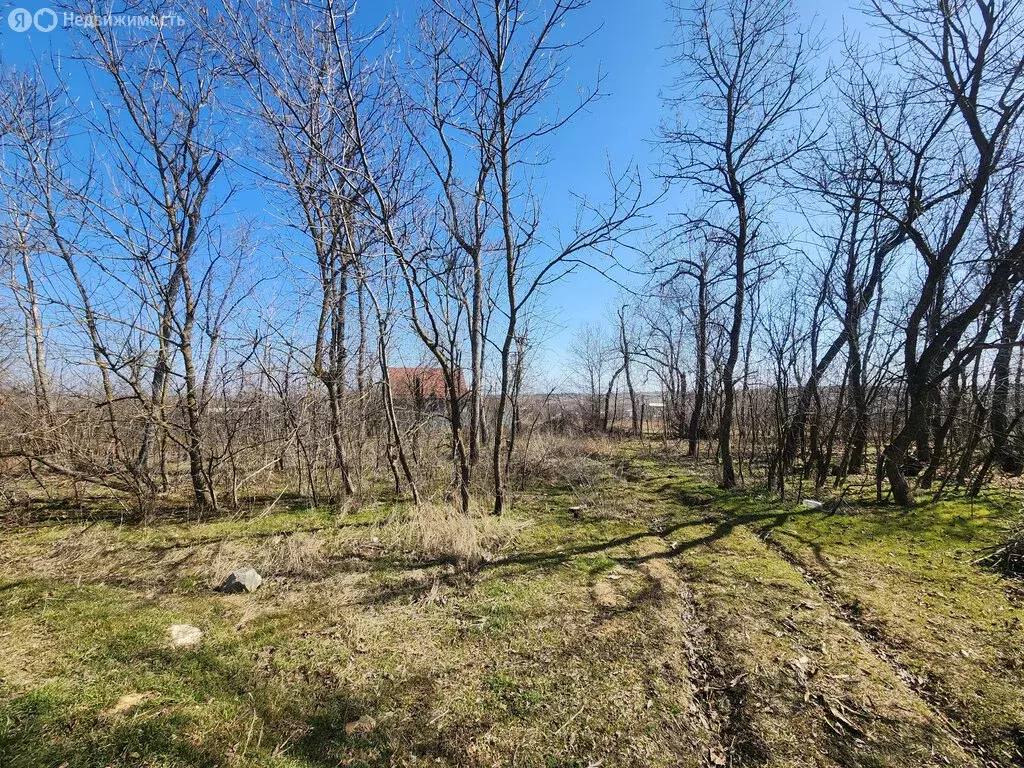 Участок в Ставрополь, садовое товарищество Северное-2, 126 (6.02 м) - Фото 1