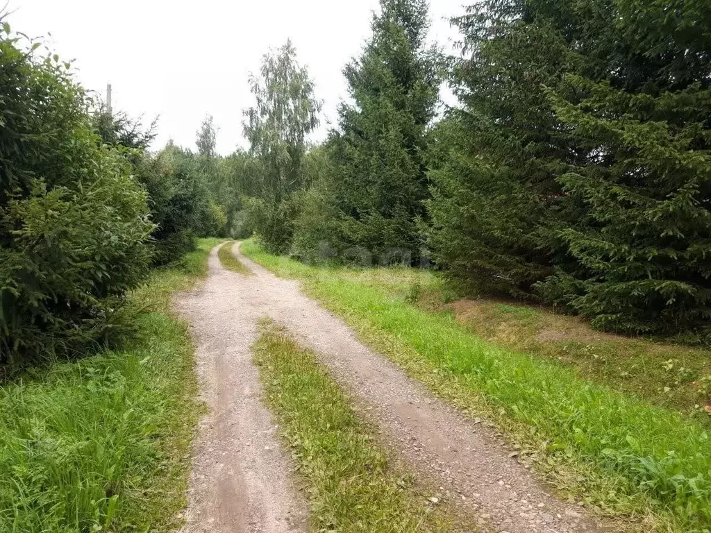 Участок в Московская область, Волоколамский муниципальный округ, д. ... - Фото 2