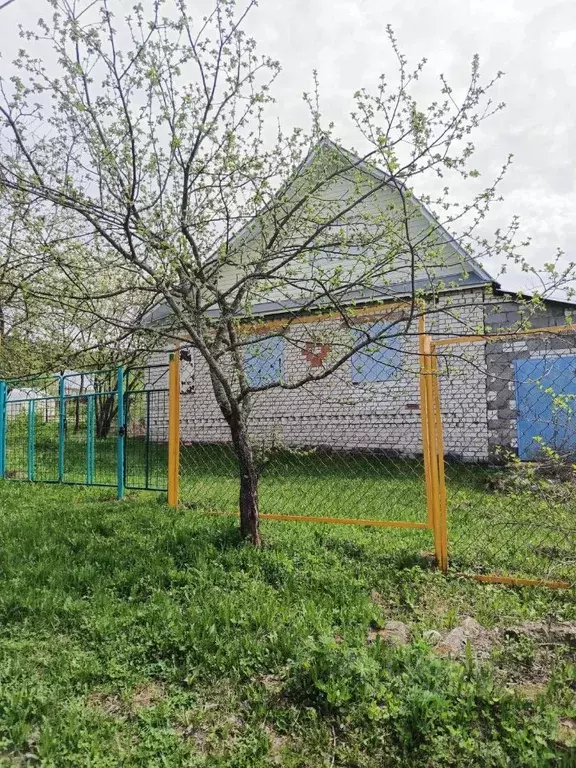 Дом в Нижегородская область, Богородский муниципальный округ, с. ... - Фото 1