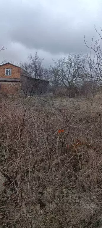 Участок в Краснодарский край, Ейское городское поселение, пос. ... - Фото 1