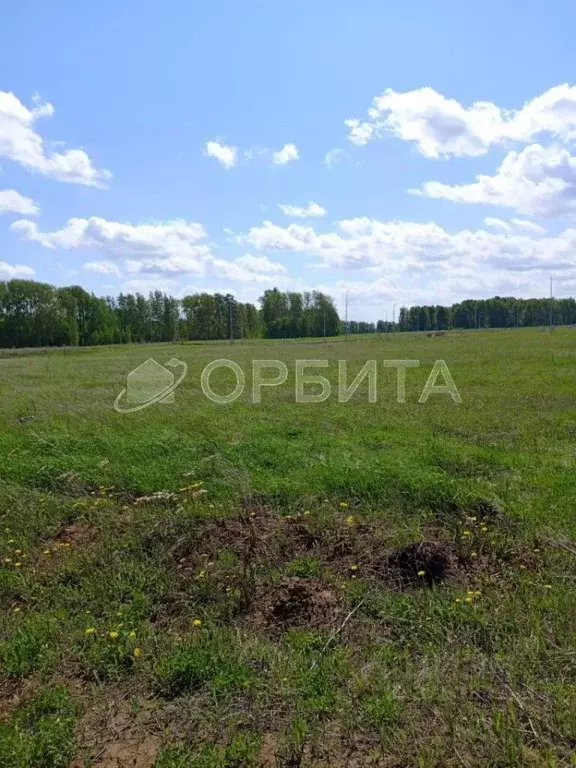 Участок в Тюменская область, Тюменский муниципальный округ, ... - Фото 1