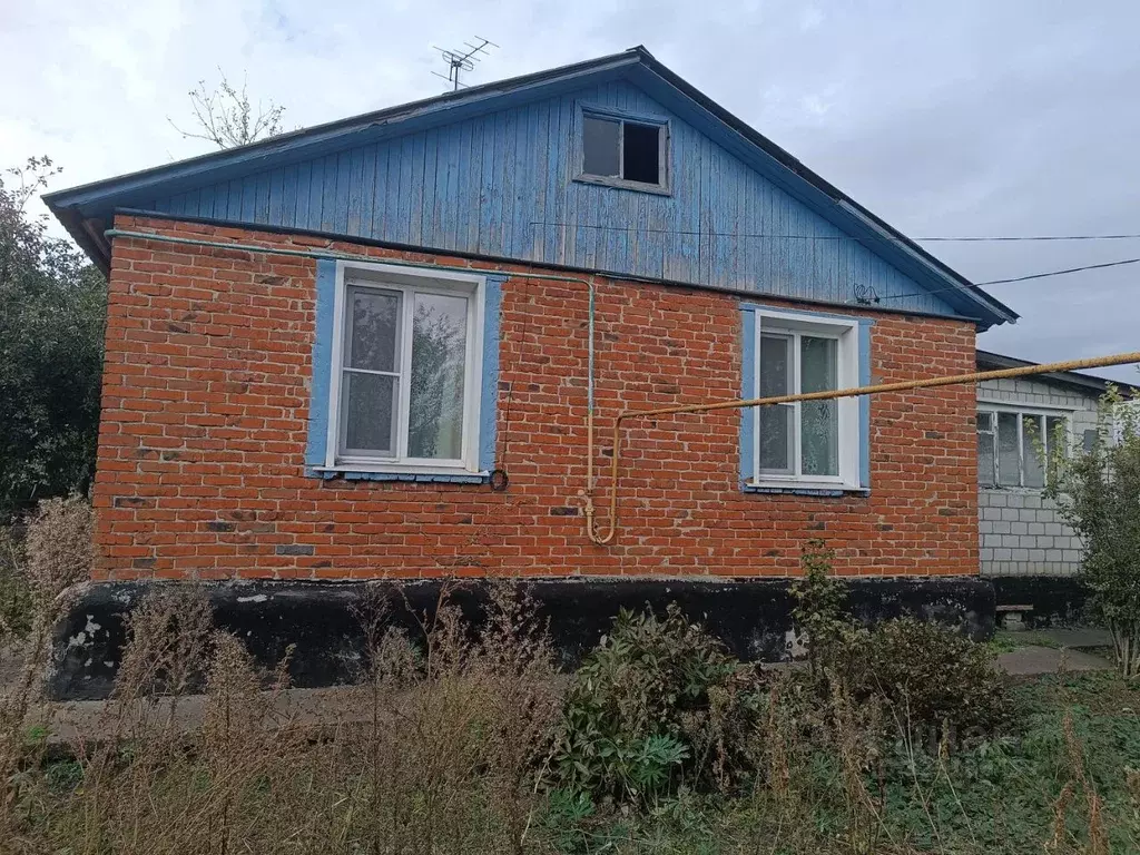 Дом в Липецкая область, с. Становое ул. Тимирязева, 5 (60 м) - Фото 1