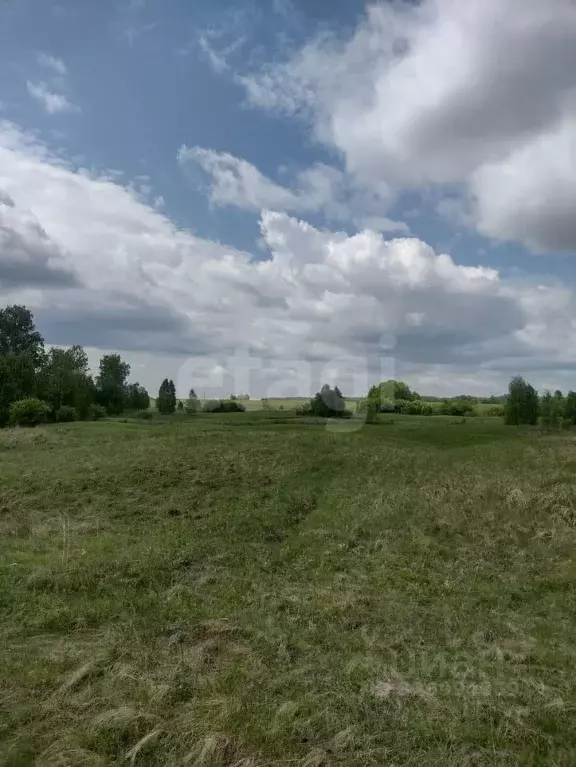 Участок в Красноярский край, Емельяновский муниципальный округ, ... - Фото 1