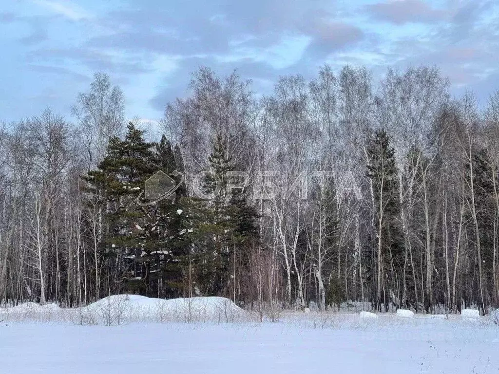 Участок в Тюменская область, Тюменский муниципальный округ, д. ... - Фото 1