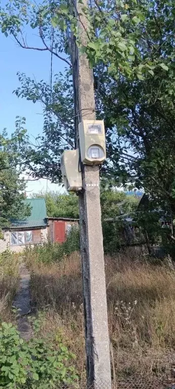 Участок в Воронежская область, Семилукский район, Девицкое с/пос, ... - Фото 1