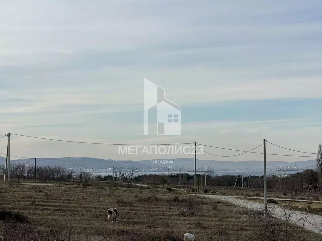Участок в Краснодарский край, Геленджик муниципальное образование, с. ... - Фото 0