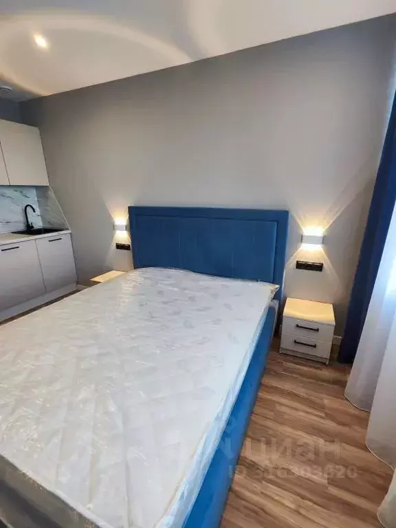 Студия Санкт-Петербург просп. Энергетиков, 2к2 (25.0 м) - Фото 1