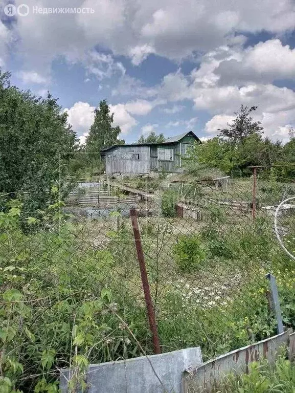 Участок в Воронежская область, Хохольское городское поселение, СНТ ... - Фото 1