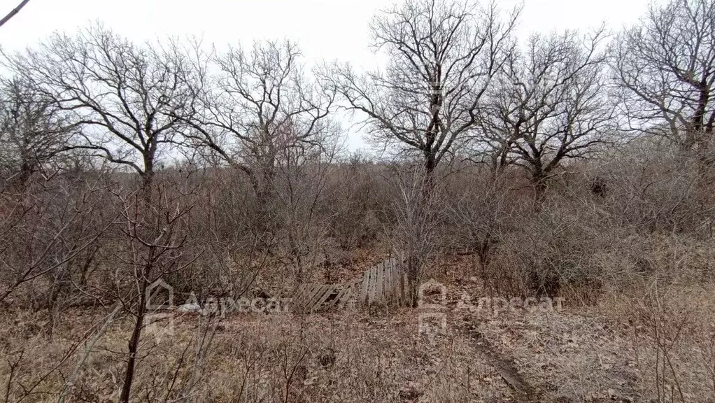 Дом в Волгоградская область, Волгоград Кировец СНТ,  (30 м) - Фото 1