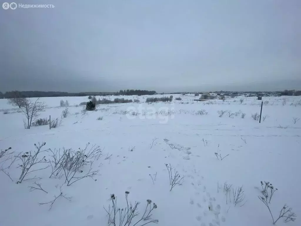 Участок в Прокопьевск, Молодёжная улица (15 м) - Фото 0