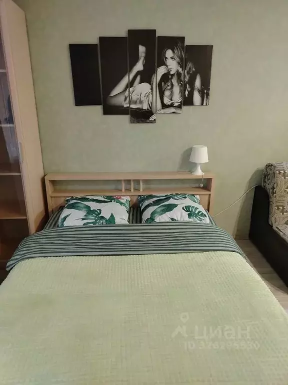 Студия Московская область, Ногинск Богородский городской округ, ул. ... - Фото 1