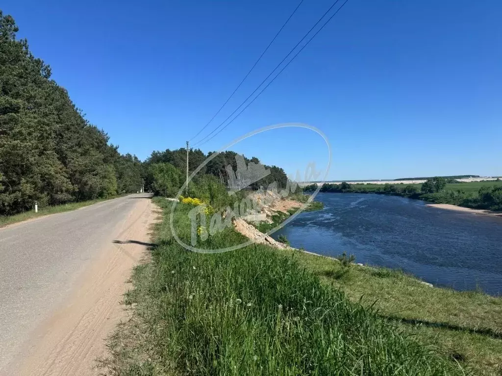 Участок в Калужская область, Дзержинский район, Дворцы с/пос, с. Учхоз ... - Фото 0