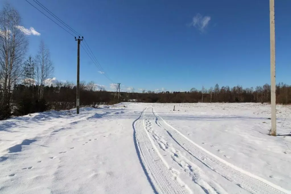 Участок в Ленинградская область, Выборгский район, Каменногорское ... - Фото 0