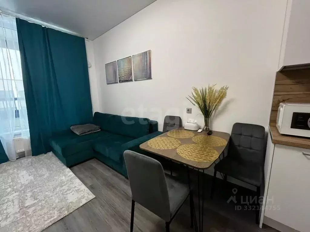 Студия Санкт-Петербург просп. Буденного, 13 (24.7 м) - Фото 1