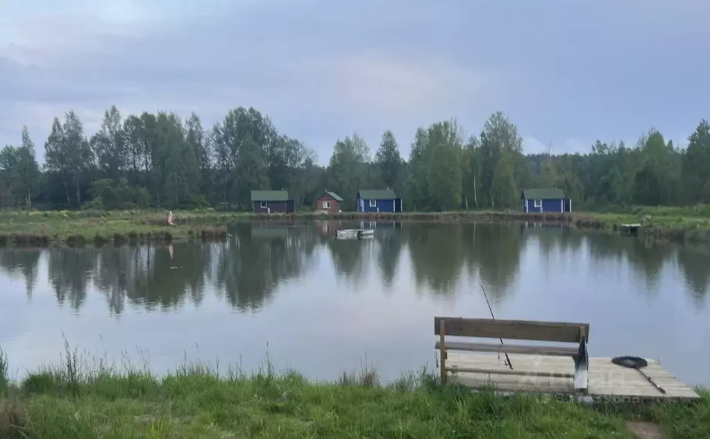 Дом в Ленинградская область, Выборгский район, Советское городское ... - Фото 0