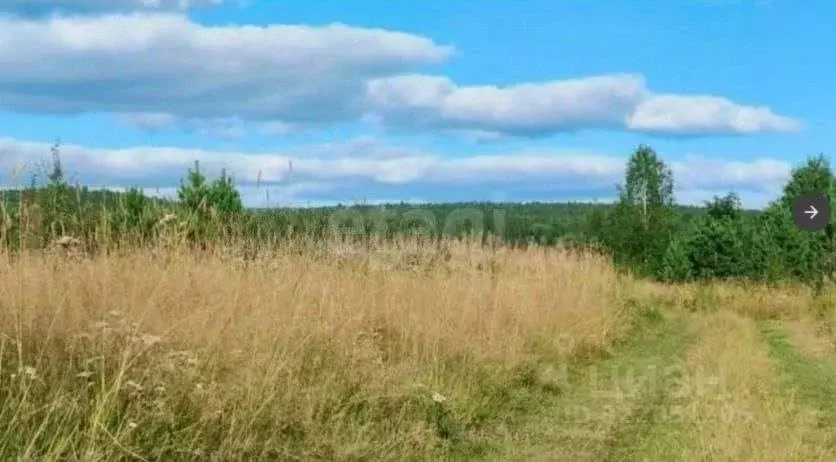 Участок в Свердловская область, Горноуральский муниципальный округ, с. ... - Фото 1