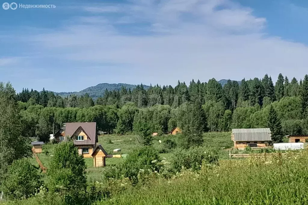 Участок в Чойский район, село Кузя, Трудовая улица (199.49 м) - Фото 2
