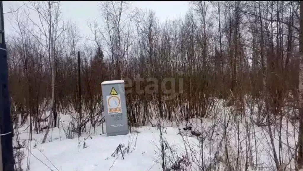 Участок в Ленинградская область, Шлиссельбург Кировский район, ... - Фото 1