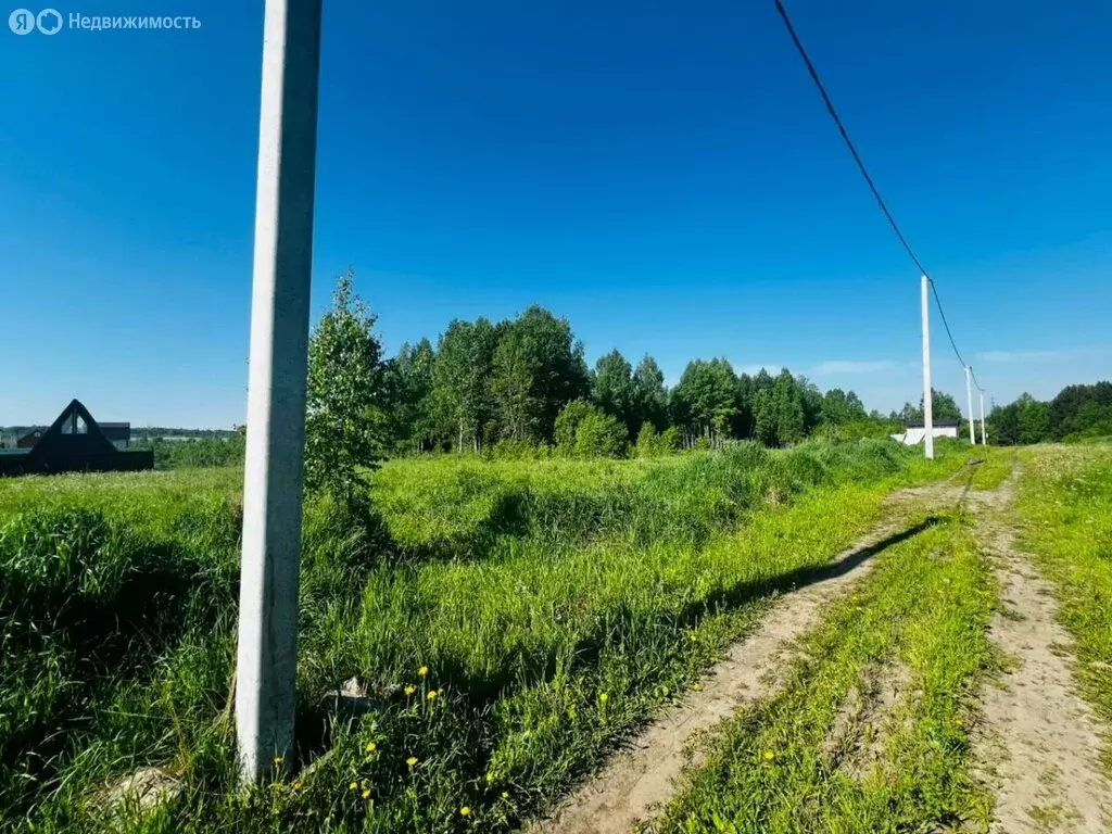 Участок в Томский район, село Корнилово (8000 м) - Фото 1