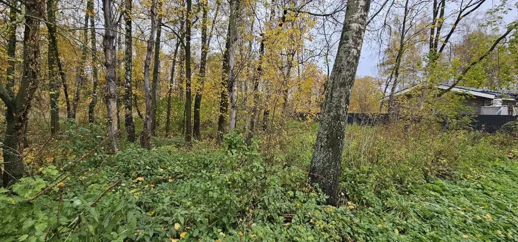 Участок в Московская область, Луховицы  (10.0 сот.) - Фото 1