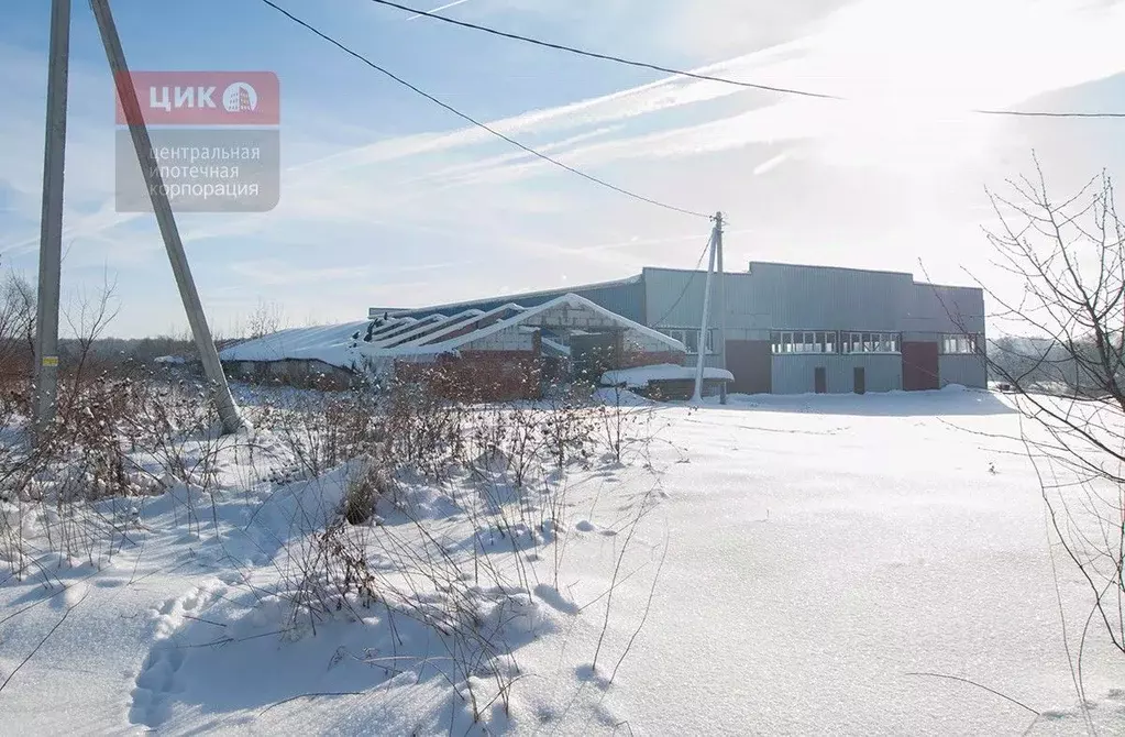 Производственное помещение в Рязанская область, Рыбновский ... - Фото 2