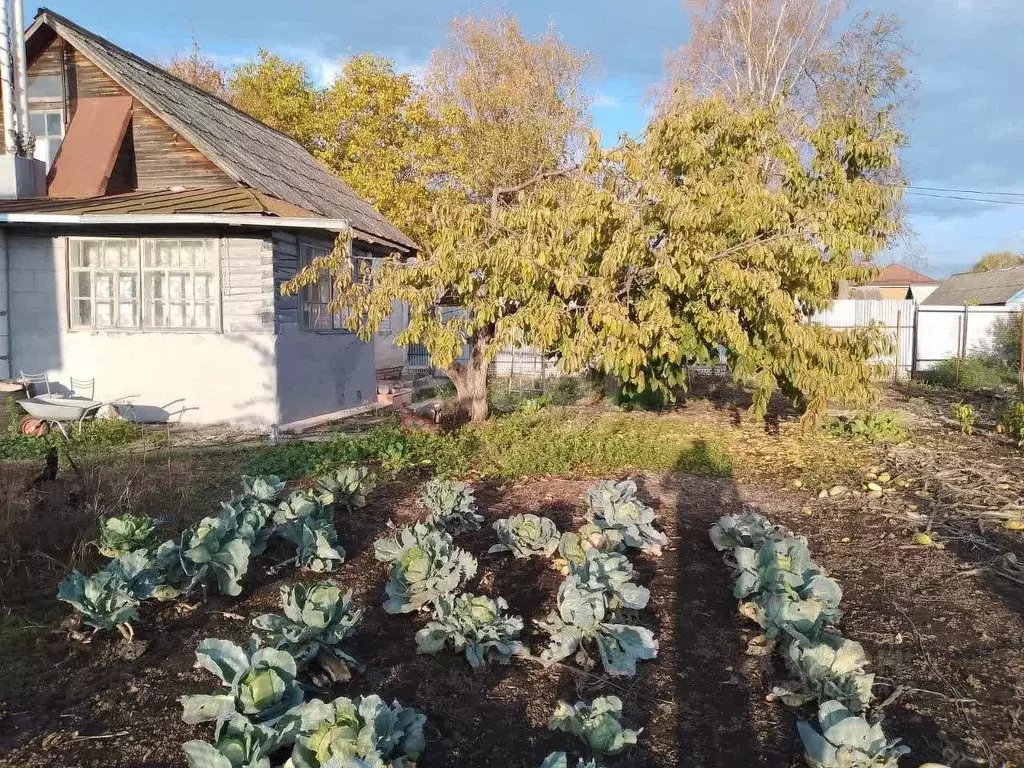 Дом в Брянская область, Трубчевск ул. Калинина (60 м) - Фото 1