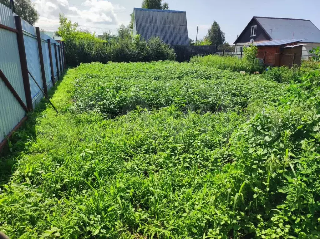 Участок 6,1 сот. (СНТ, ДНП) - Фото 1