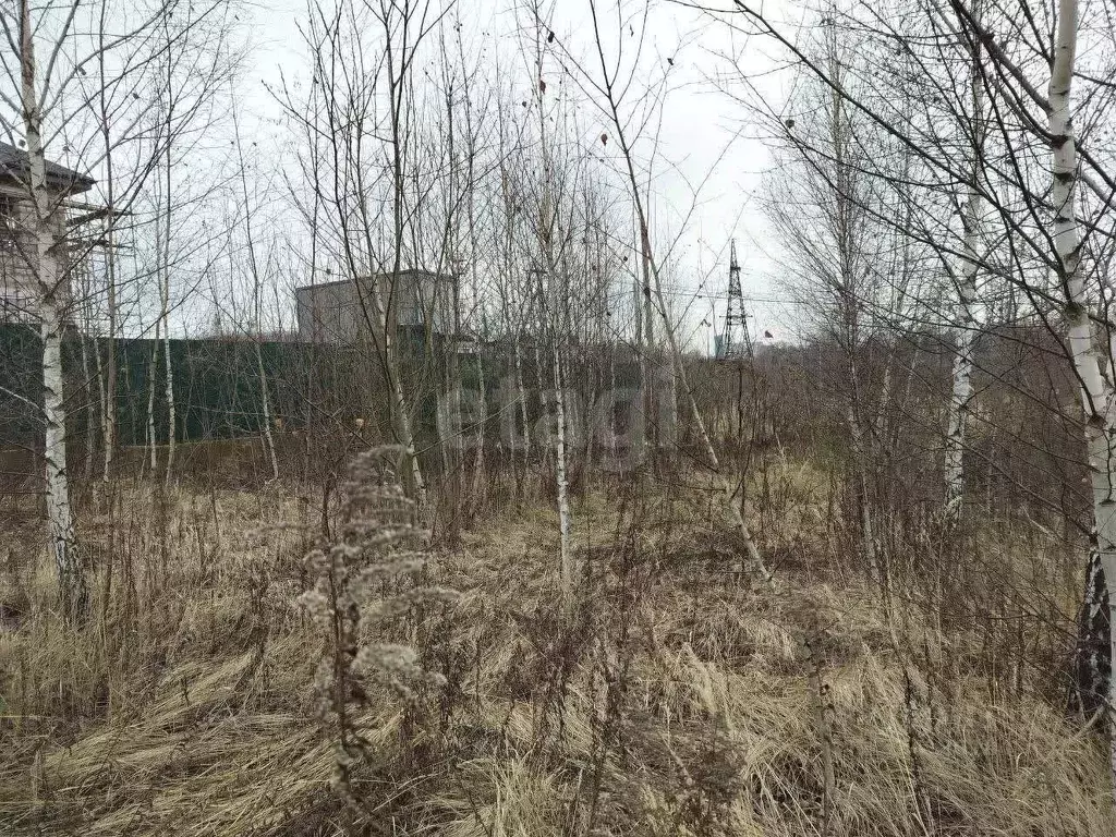 Участок в Московская область, Ленинский городской округ, д. Жабкино ... - Фото 2
