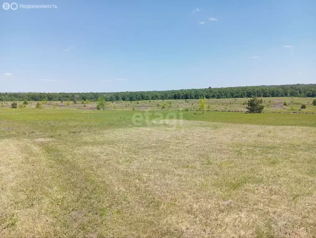 Участок в село Котово, микрорайон Пушкарские Дачи-2 (9.3 м) - Фото 1