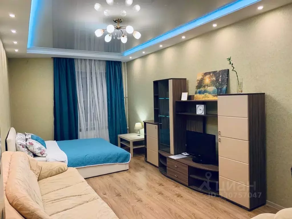 1-к кв. Санкт-Петербург Афанасьевская ул., 1 (47.0 м) - Фото 1