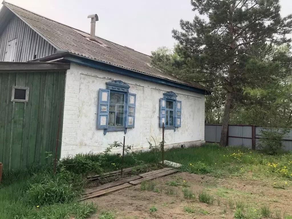 Дом в Амурская область, Серышевский муниципальный округ, с. Томское ... - Фото 1