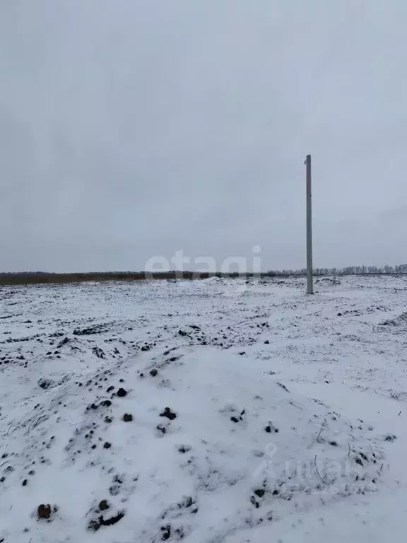 Участок в Белгородская область, Белгородский район, Головинское с/пос, ... - Фото 1