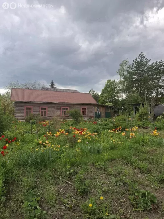 Дом в Мценский район, Черемошенское сельское поселение, деревня ... - Фото 2