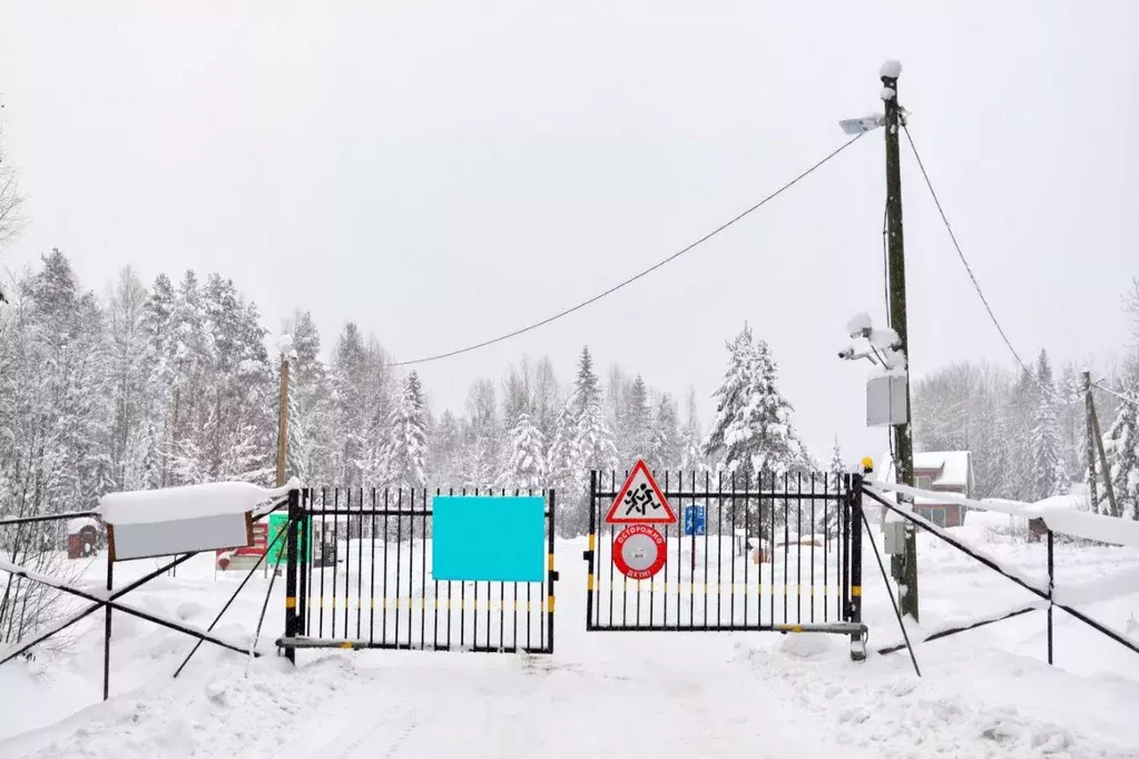 Купить Земельный Участок В Прионежском Районе Карелия