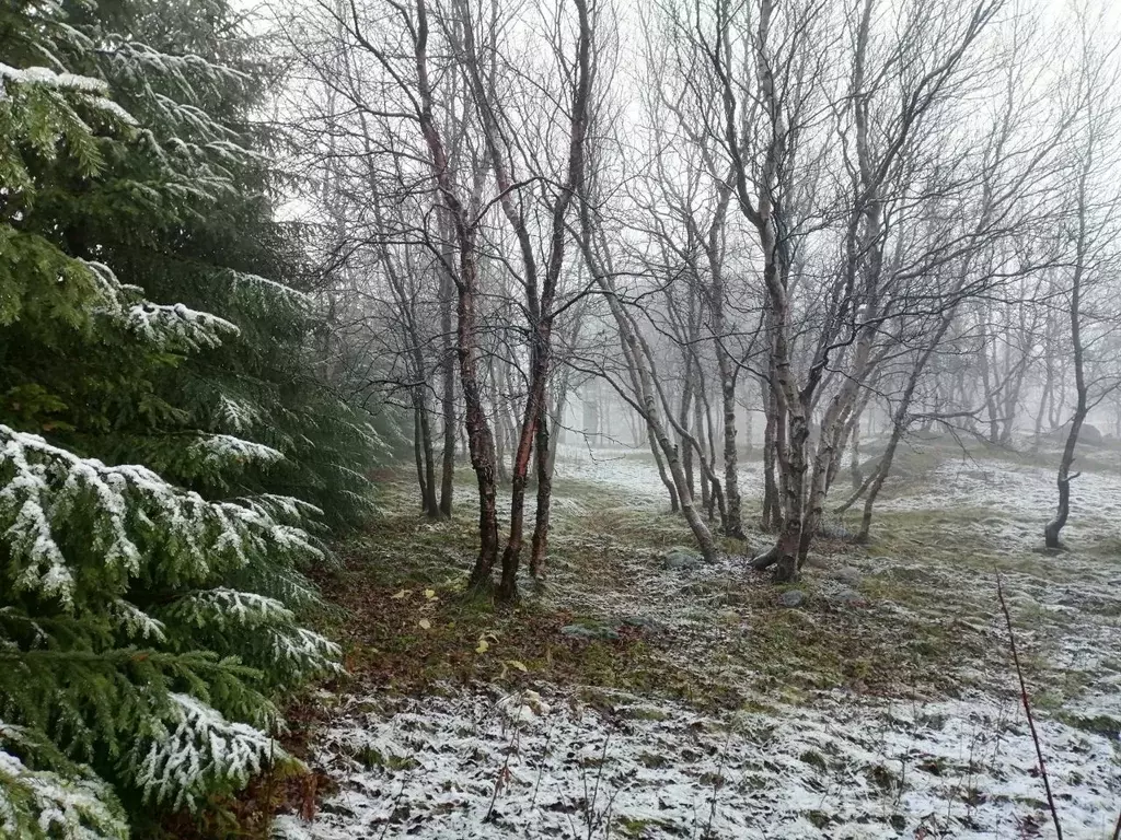 Дом в Мурманская область, Мурманск ул. Огни Мурманска (25 м) - Фото 1