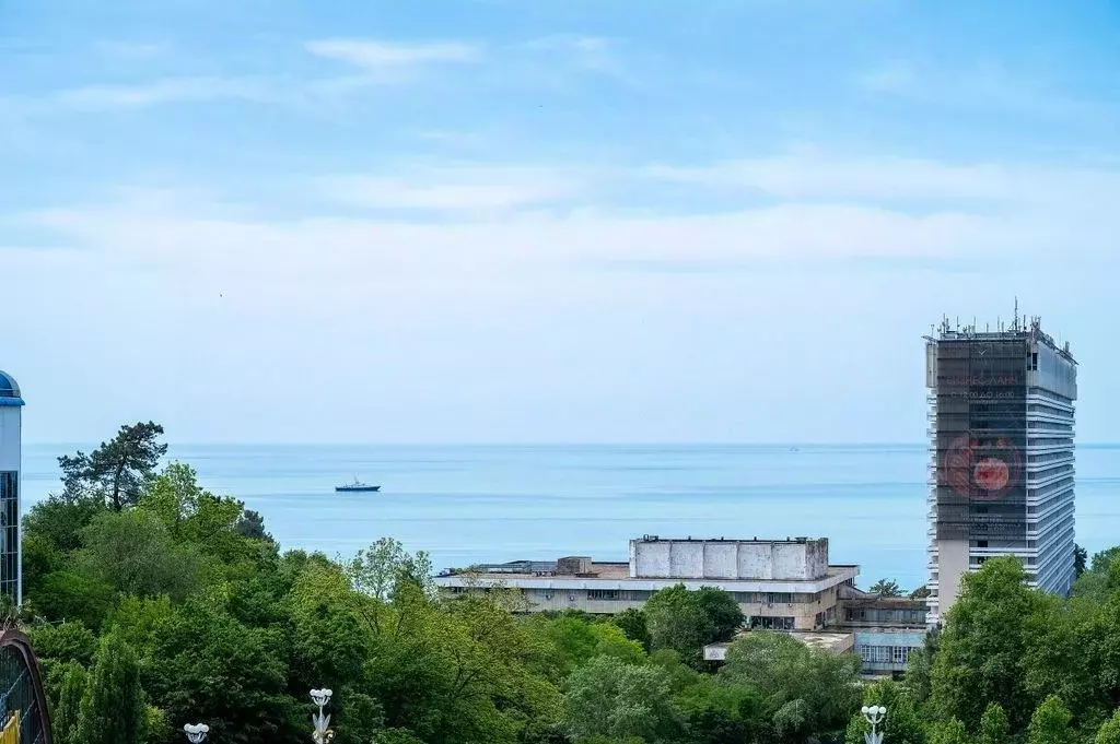 2-к кв. Краснодарский край, Сочи Светлана мкр, ул. Учительская, 9 ... - Фото 1